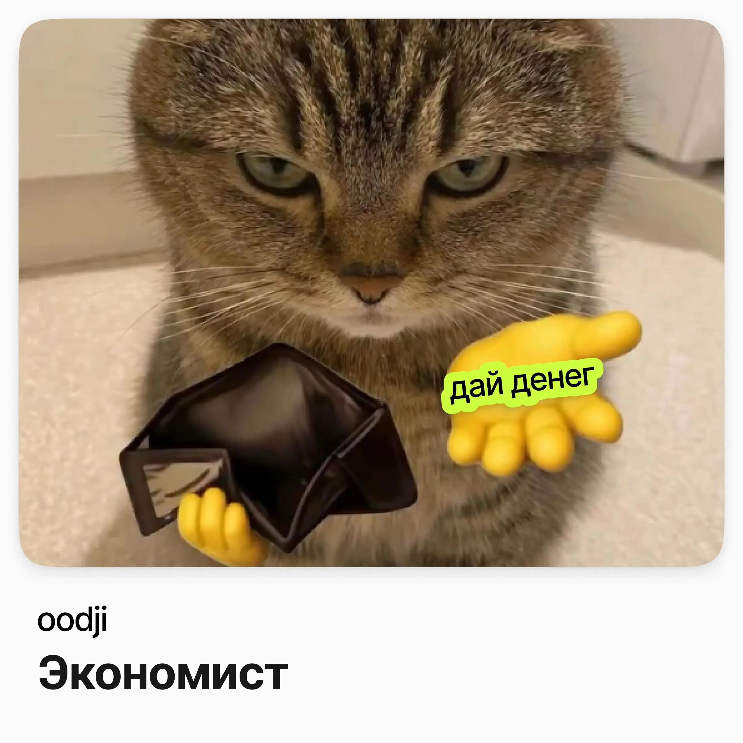 📈 Экономист / oodji
oodji — российский бренд повседневной одежды с сетью магазинов по всей стране.
Ищут экономиста в финансовый блок в Санкт-Петербурге | Сетка — социальная сеть от hh.ru