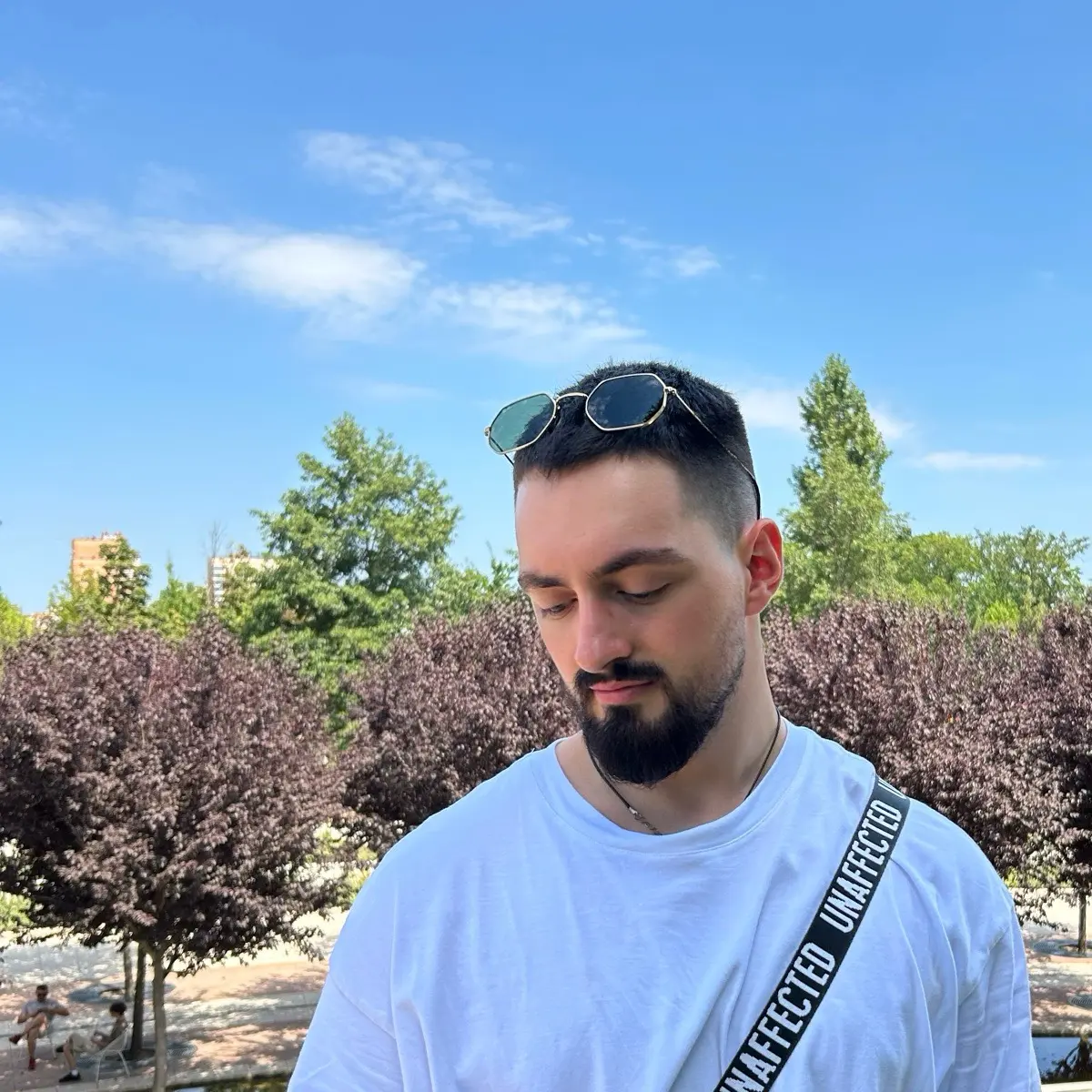 Network member avatar