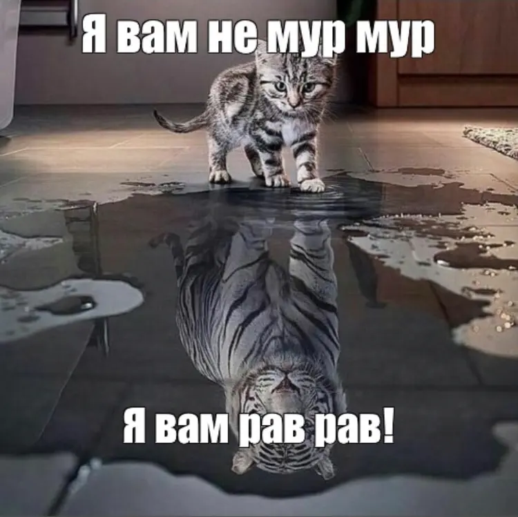 30 дней дизайна. Мой путь трансформации | Сетка — социальная сеть от hh.ru