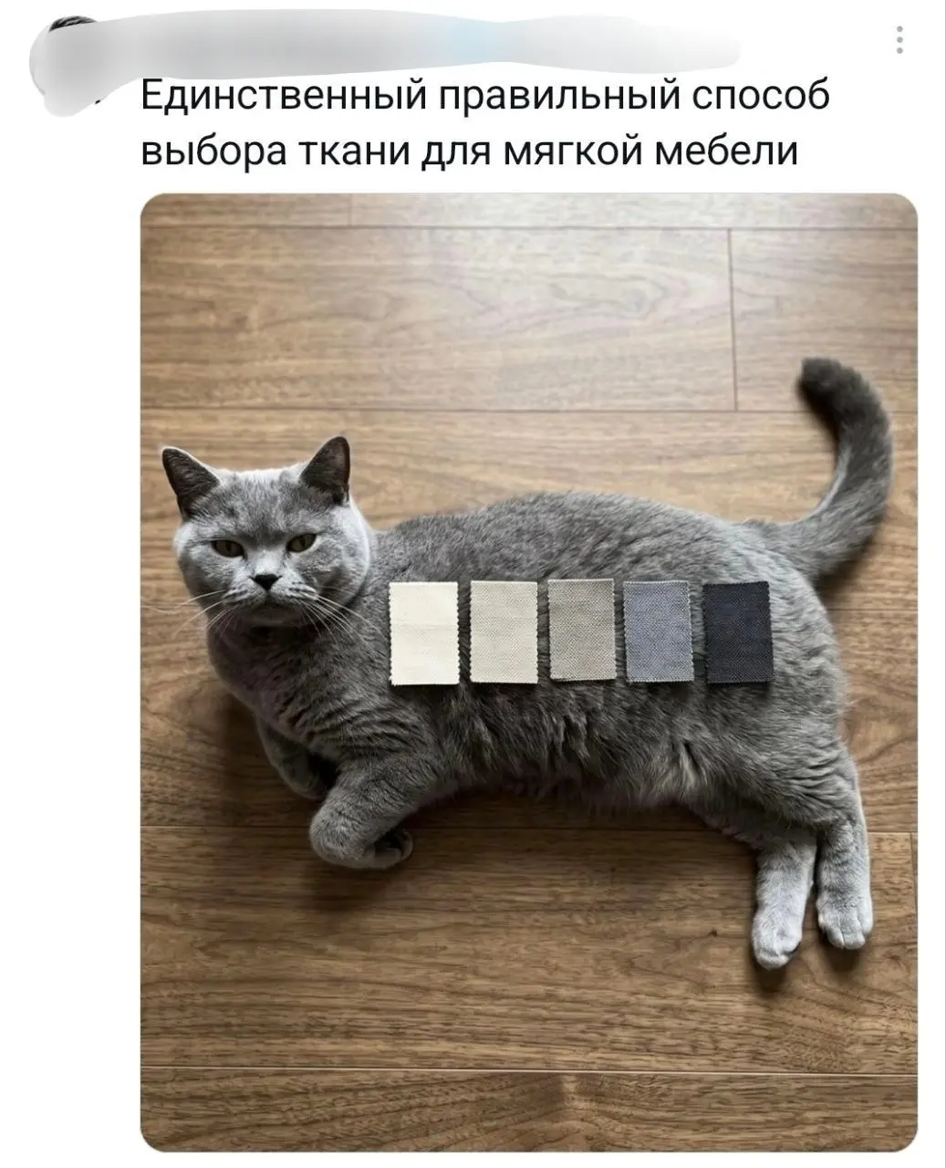 Важно, чтобы все сочеталось 😂
От любимого клиента Александра ❤️
БЛОГ В ТГ / БЛОГ В MAX
#Юмор #Коты
В этом посте были ссылки, но мы их удалили по правилам Сетки | Сетка — социальная сеть от hh.ru