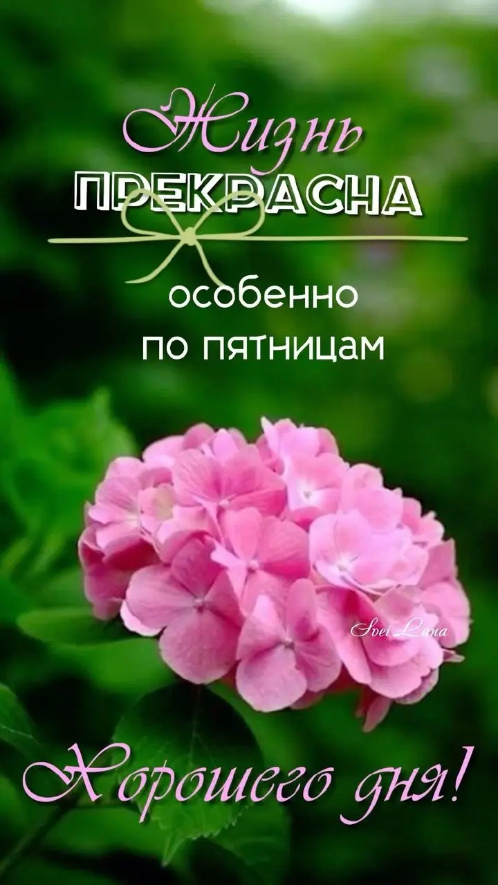 ДОЖИЛИ ДО ПЯТНИЦЫ. А ЭТО ТОЧНО ХОРОШИЙ ЗНАК? 😁
Ну что, пятница.
Наконец-то.
Можно выдохнуть и сказать:
«Я дожила».
И вроде бы смешно | Сетка — социальная сеть от hh.ru