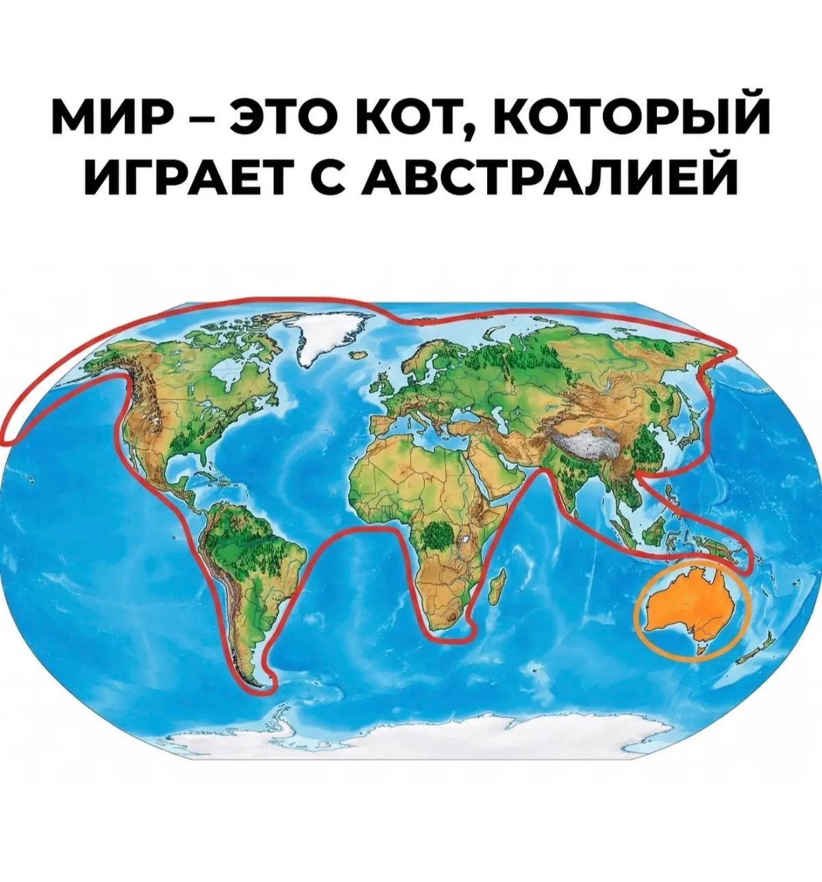 НА КОТИКАХ ДЕРЖИТСЯ ЭТОТ МИР 😽 | Сетка — социальная сеть от hh.ru
