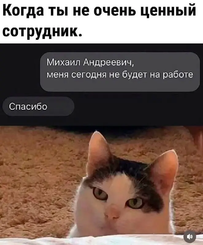 "Я уволился - а на моё место взяли троих!" - слышу от кандидатов регулярно, еще со времен рекрутерской карьеры, и до сих пор этот комментарий не перестает быть актуальным | Сетка — социальная сеть от hh.ru