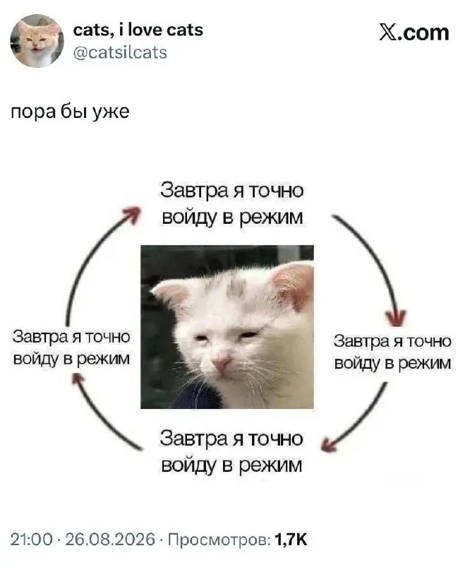 #life | Сетка — социальная сеть от hh.ru