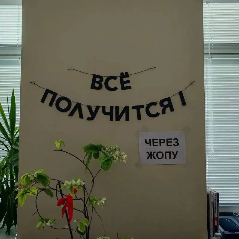 Сегодня мемная пятница! А это значит пора обменяться мемами. В прошлый самый популярный мем был от Натальи👆
Спасибо за активность!)
Публикуй мемы в комментариях и голосуй за другие любой реакцией | Сетка — социальная сеть от hh.ru