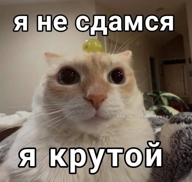 Настроение последних месяцев | Сетка — социальная сеть от hh.ru