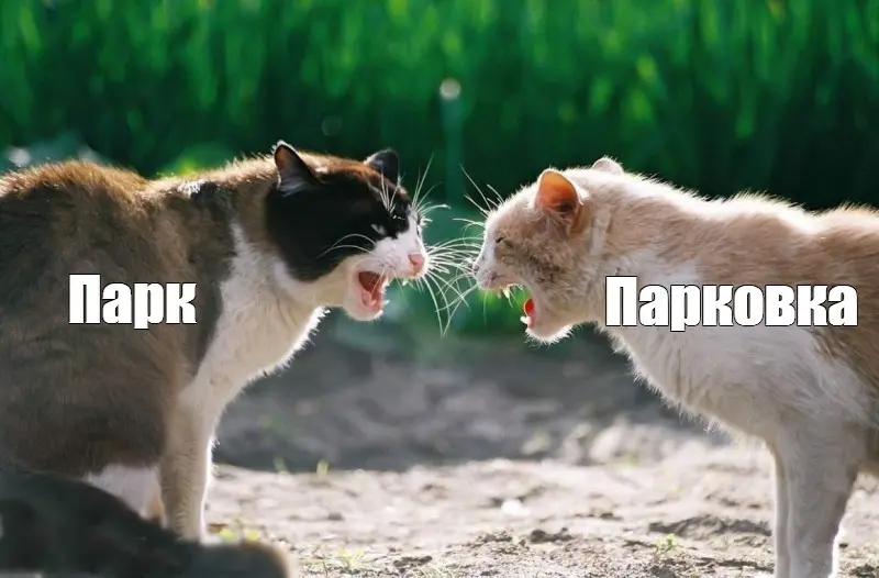 Классика жанра | Сетка — социальная сеть от hh.ru