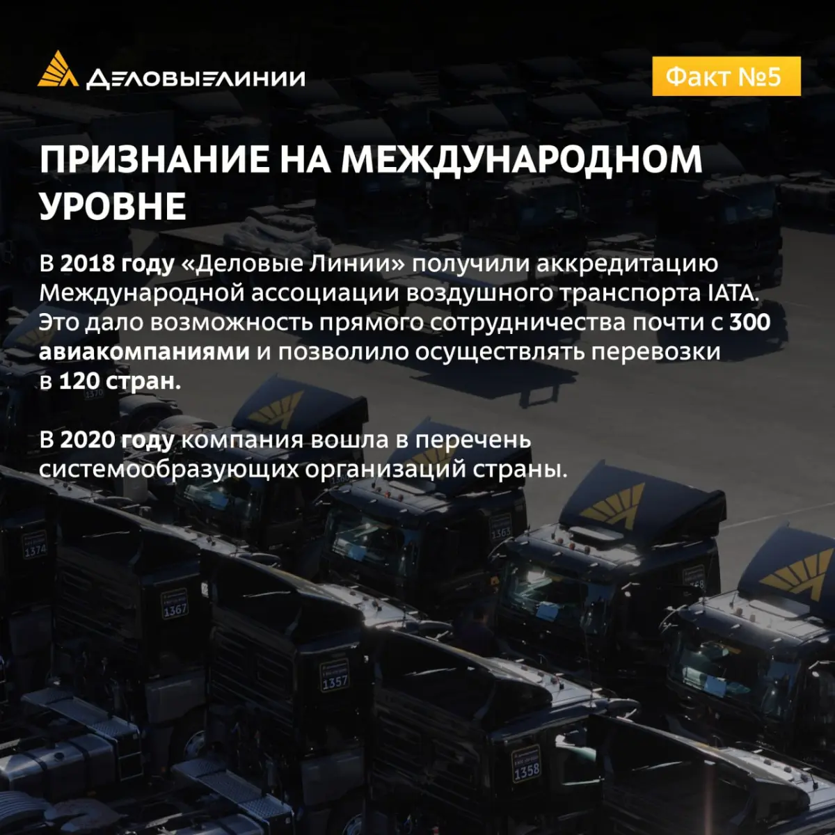 «Деловые Линии» работают с 2001 года
Четверть века — это больше 300 месяцев, больше 9 000 дней и больше 9 000 000 000 километров дорог | Сетка — социальная сеть от hh.ru