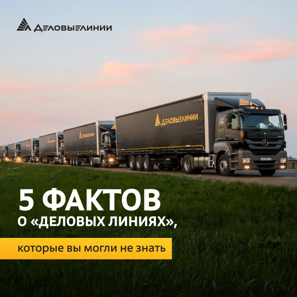 «Деловые Линии» работают с 2001 года
Четверть века — это больше 300 месяцев, больше 9 000 дней и больше 9 000 000 000 километров дорог | Сетка — социальная сеть от hh.ru