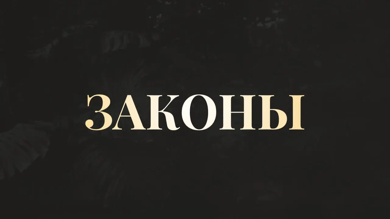 ПРАВИЛА ЭТОГО ПРОСТРАНСТВА: ПОЧЕМУ ЗДЕСЬ НЕ БУДЕТ ДЕМОКРАТИИ
Ни один человек в здравом уме не заходит в операционную к хирургу, чтобы рассказать, как правильно держать скальпель, какой длины делать на... | Сетка — социальная сеть от hh.ru