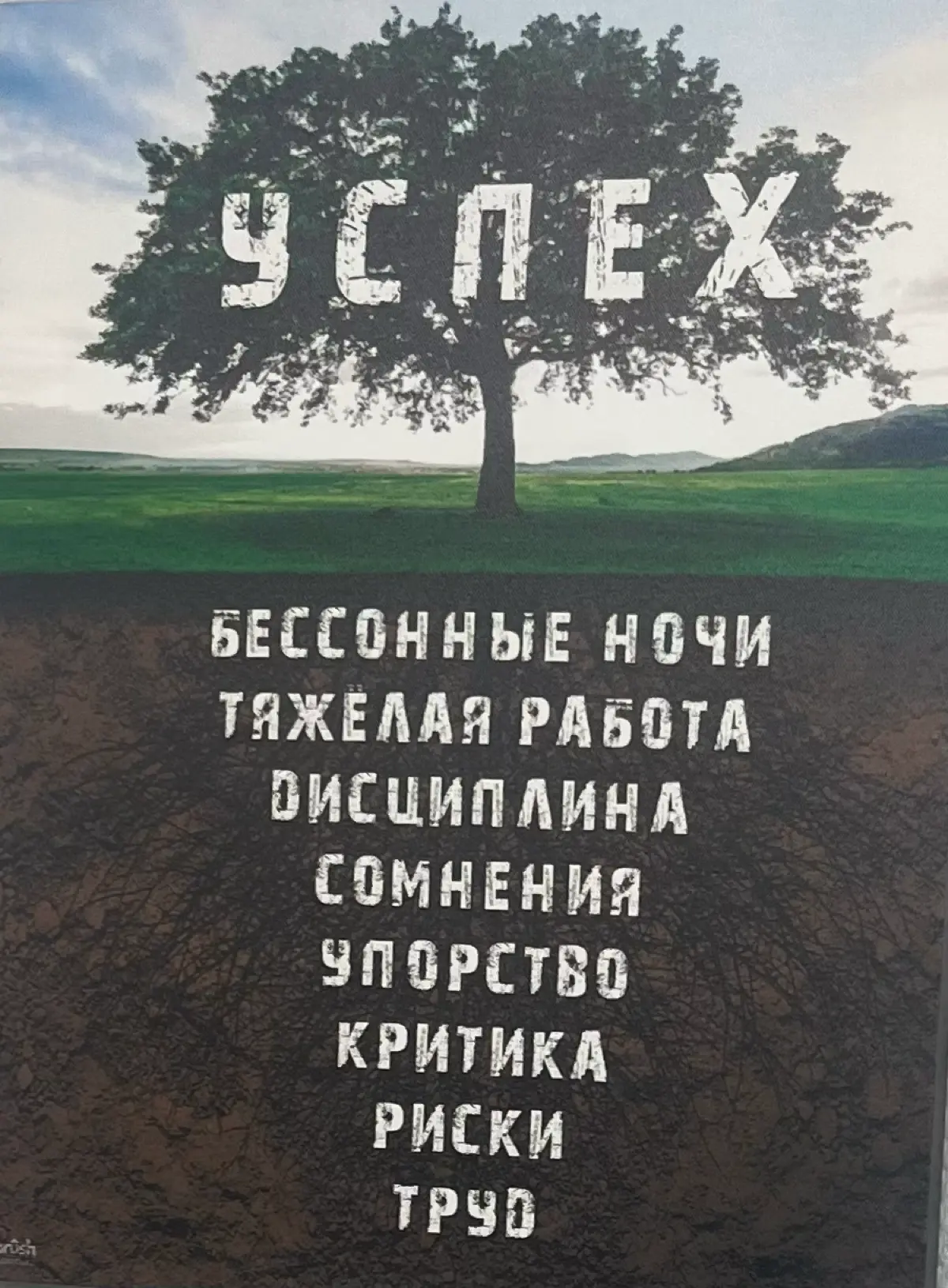 А у Вас , какая цена ? | Сетка — социальная сеть от hh.ru