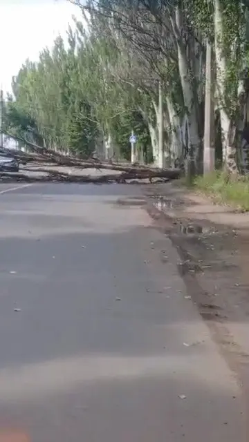 Макеевка. В Ханженково упало дерево по ул. Кирова и лежит уже более 2 часов. Центральная улица! | Сетка — социальная сеть от hh.ru