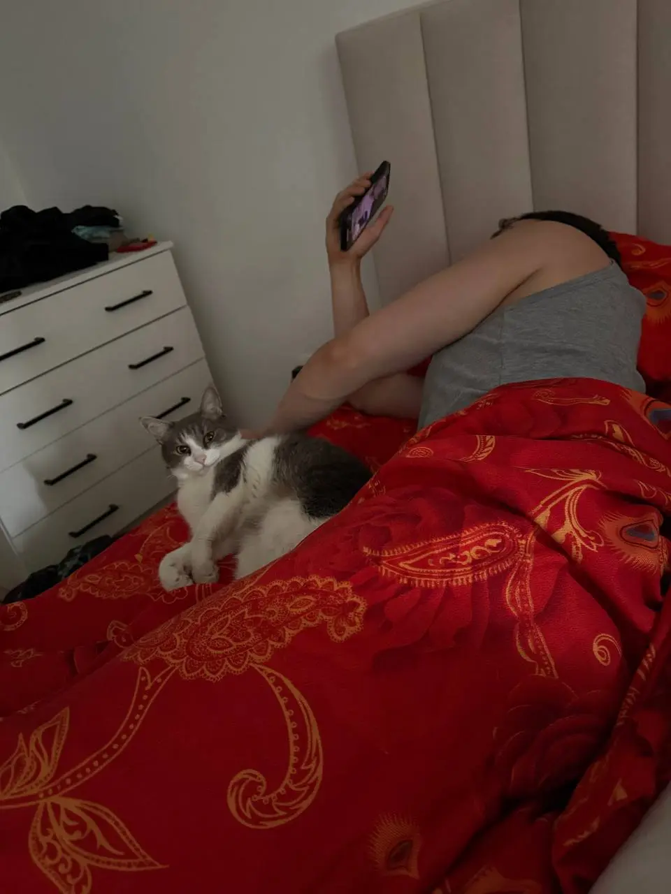 Немного Симы вам в ленту 💕
Он жил 2 недели у моей мамы, пока мы уезжали на юг, теперь вернулся в свой home 🏠 , довольный 😁 | Сетка — социальная сеть от hh.ru