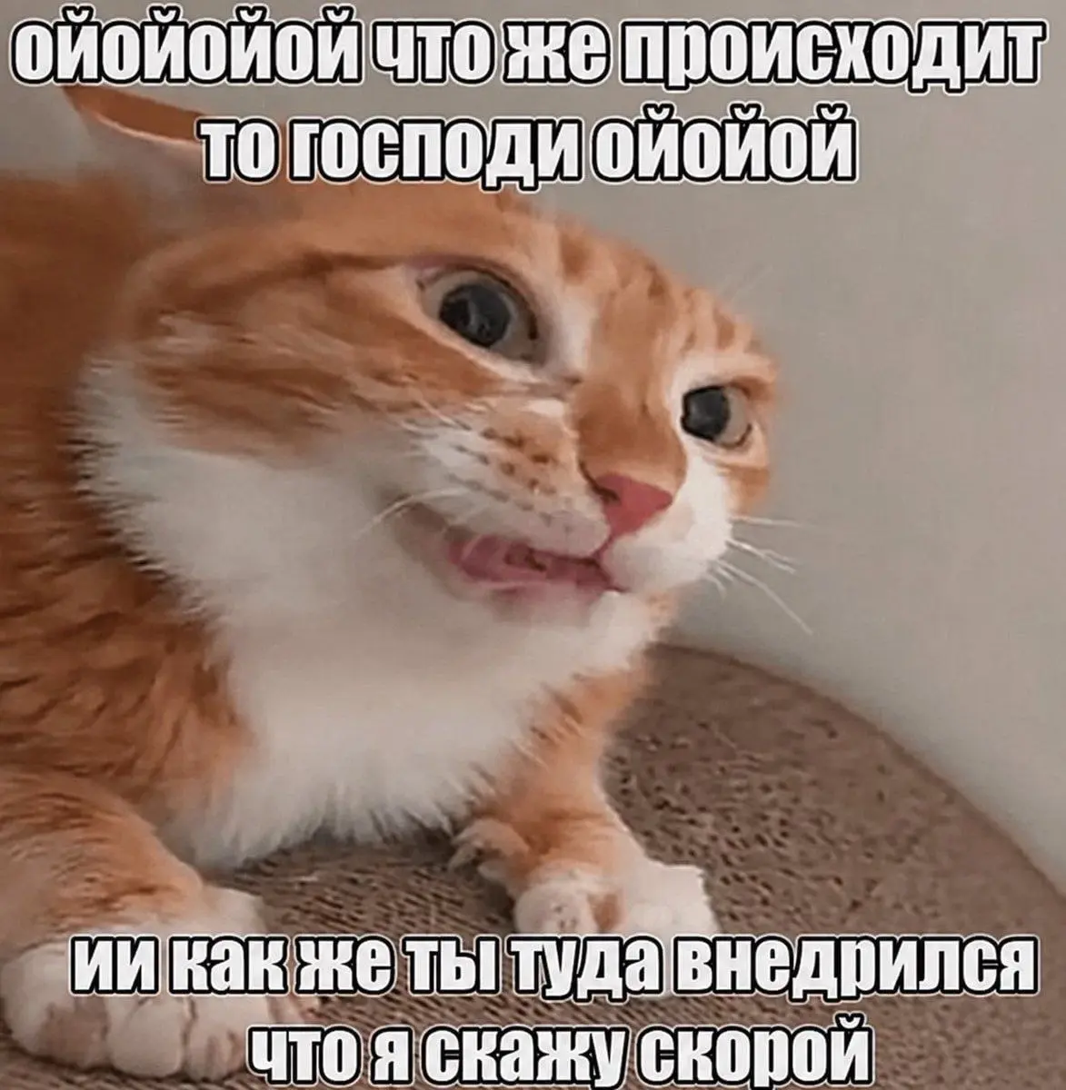 Всё, пятница. Заканчиваем работать, закрываем ноутбуки. Я вам мемов про ии нашел. | Сетка — социальная сеть от hh.ru