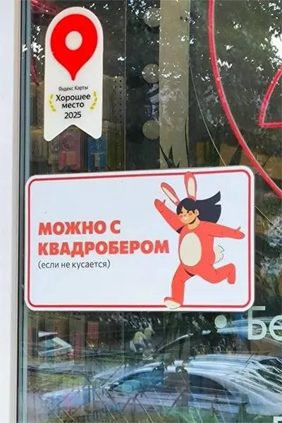 А и правда - хорошее место, квадробер-френдли! | Сетка — социальная сеть от hh.ru