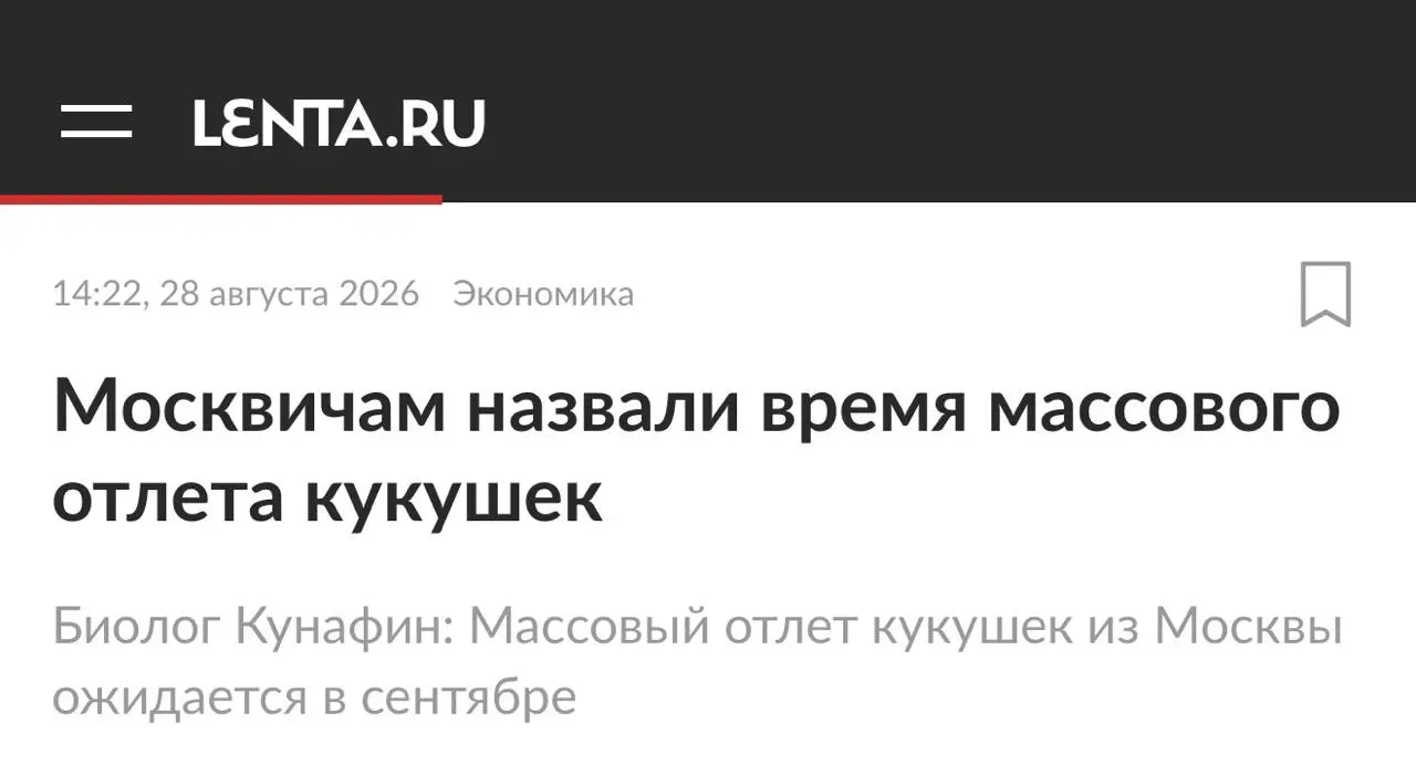 А теперь к действительно важным новостям 🐔
ТГ Понарошку | MAX Понарошку
В этом посте были ссылки, но мы их удалили по правилам Сетки | Сетка — социальная сеть от hh.ru