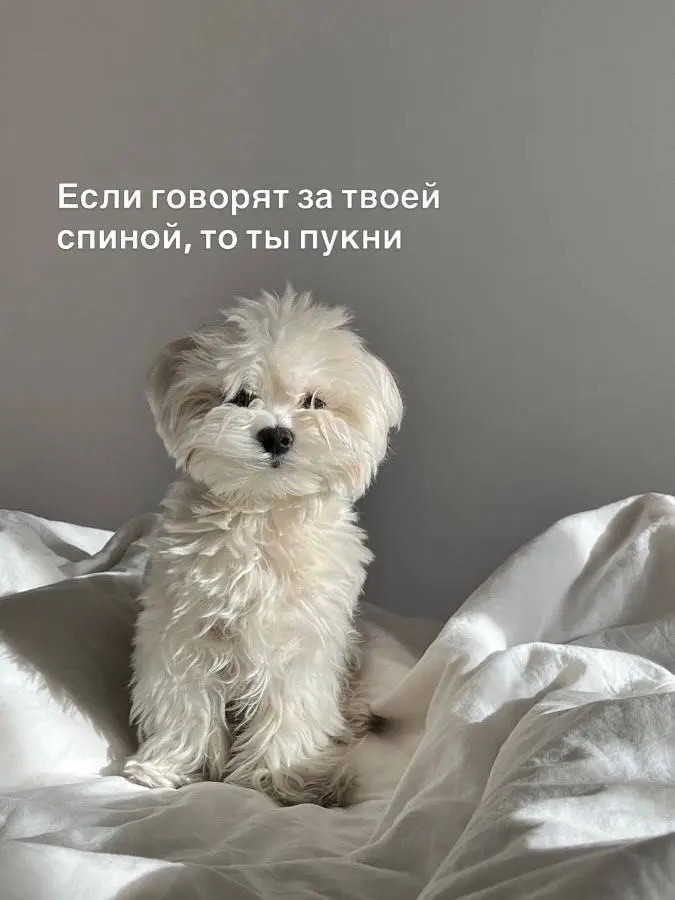 Я сегодня : | Сетка — социальная сеть от hh.ru