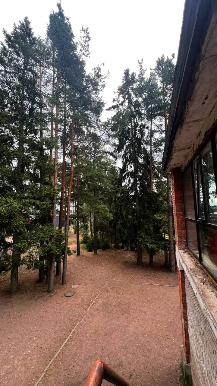 «Если вы будете и в следующем году выступать мы точно опять приедем!» - самое лучшее что можно услышать после часового выступления про «Нейросети
и личный бренд
Как применять — сразу, здесь и сейчас»
... | Сетка — социальная сеть от hh.ru