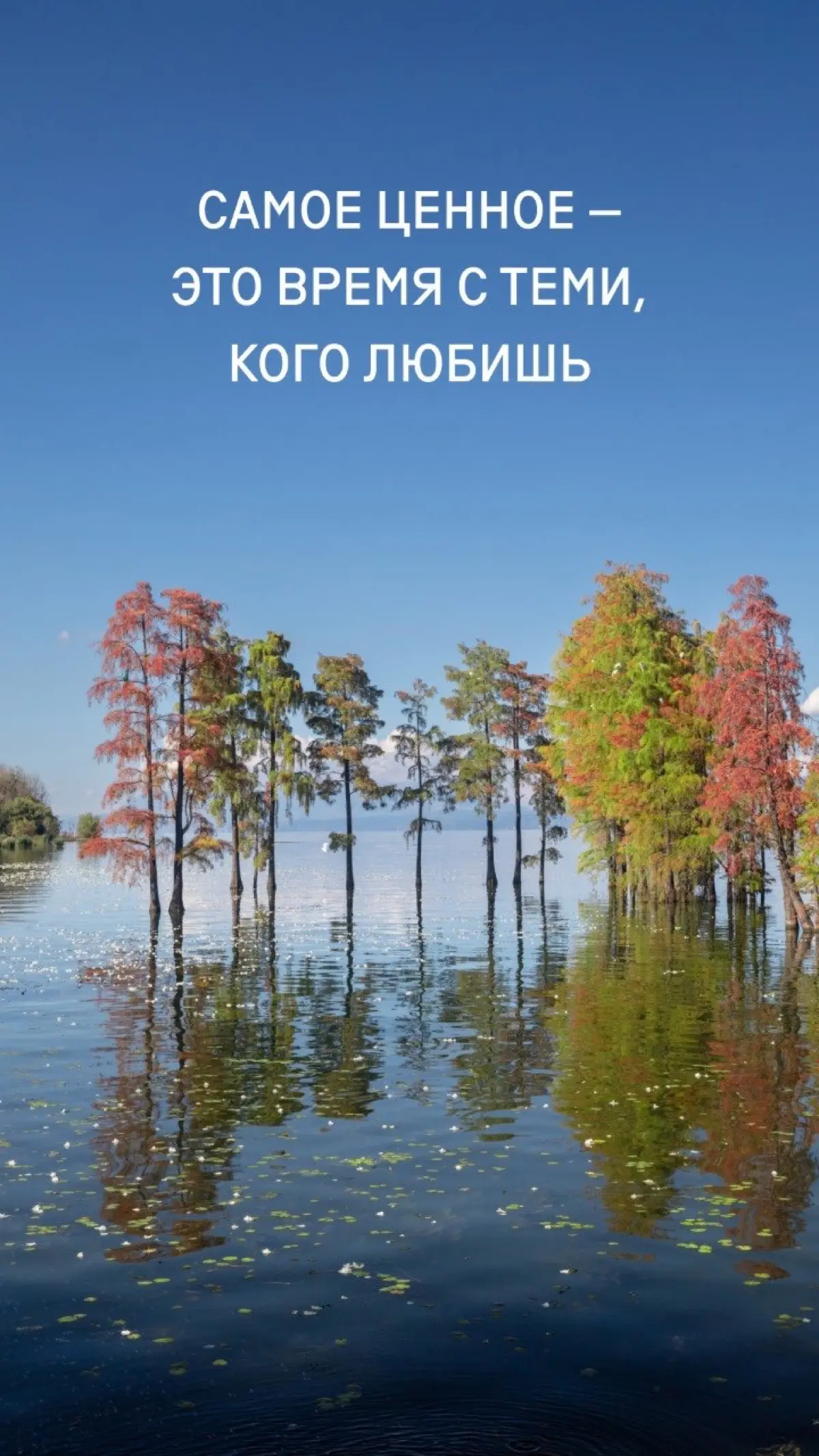🍁 Вдохновляющие заставки на сентябрь
Осень уже совсем близко, и это время, когда хочется начать что-то новое. Или наконец сделать то, что давно откладывали | Сетка — социальная сеть от hh.ru