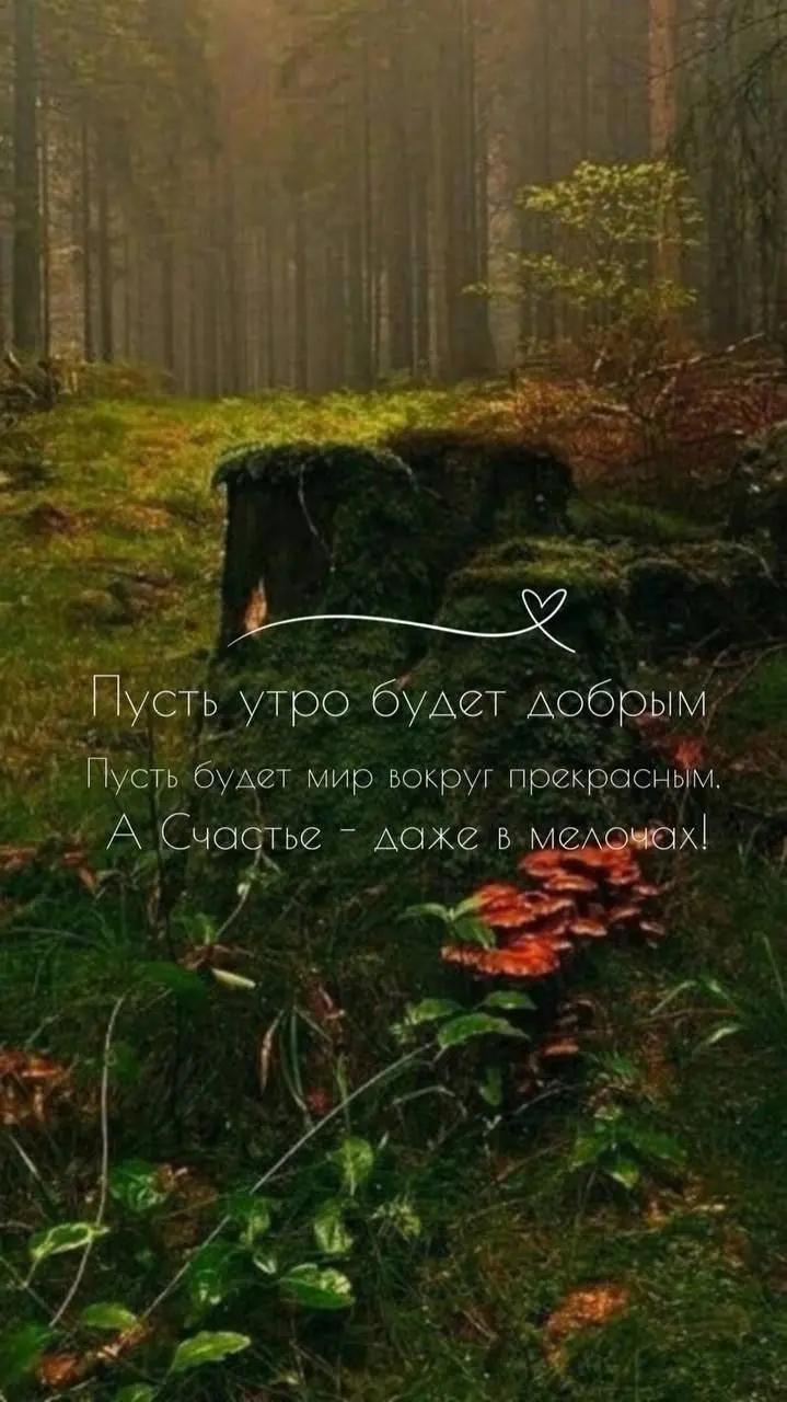 Доброе субботнее утро! Желаю вам приятных выходных! Лето не уходи! 🍀 | Сетка — социальная сеть от hh.ru