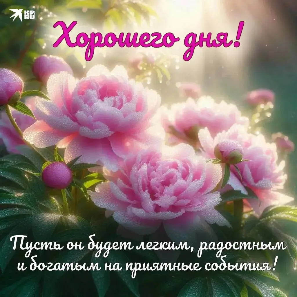 Хорошего дня | Сетка — социальная сеть от hh.ru
