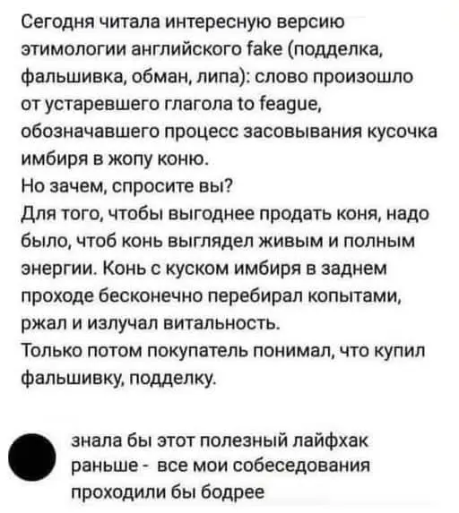 Убежище от токсичных заказчиков. Присоединяйся 🔥 | Сетка — социальная сеть от hh.ru