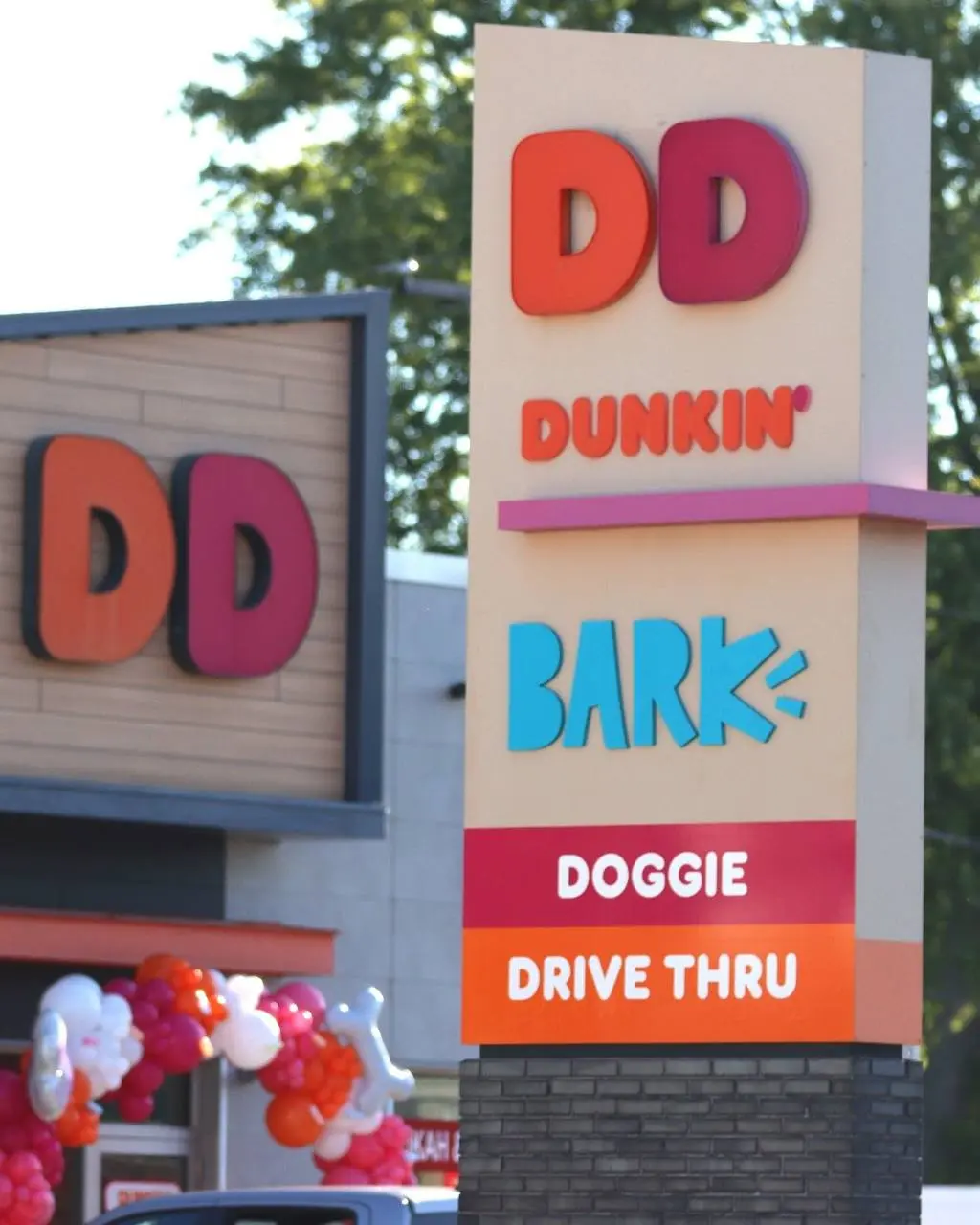 Dunkin’ организовал дог-кофейню к национальному дню собак | Сетка — социальная сеть от hh.ru