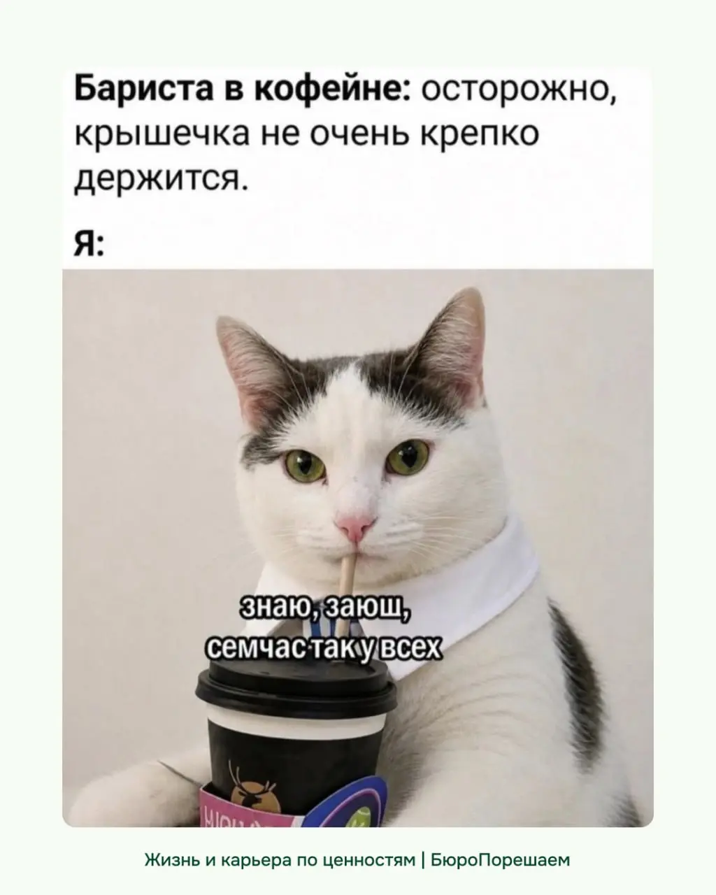 Вы как там, держитесь?) | Сетка — социальная сеть от hh.ru