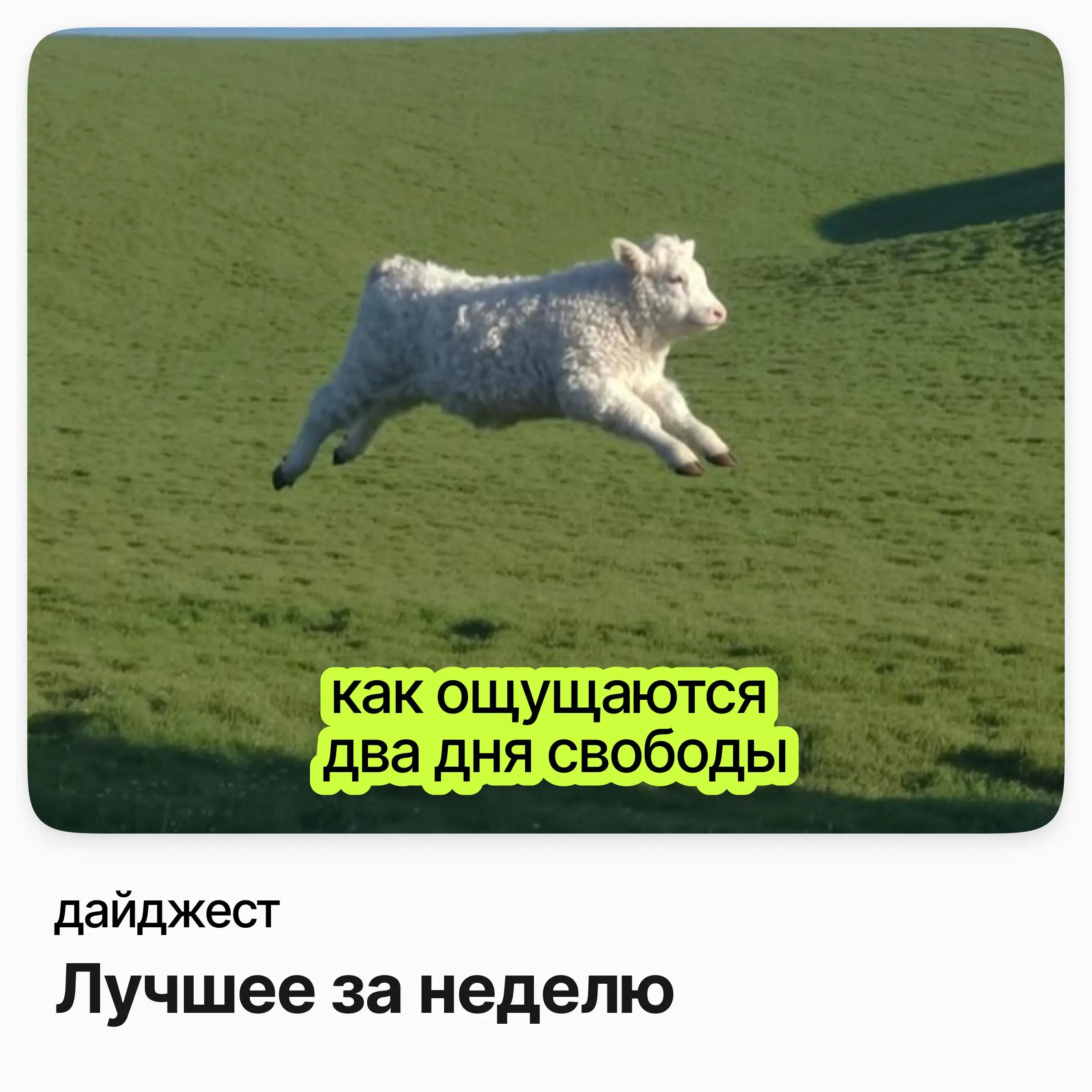 💼💼💼Лучшее за неделю
Региональный руководитель отдела продаж / Москва и Московская область / Maytoni
Зарплата: до 500 000 ₽ /на руки
Подробнее
Старший системный аналитик (ТОР) / S7 Group
Зарплата: до 4... | Сетка — социальная сеть от hh.ru