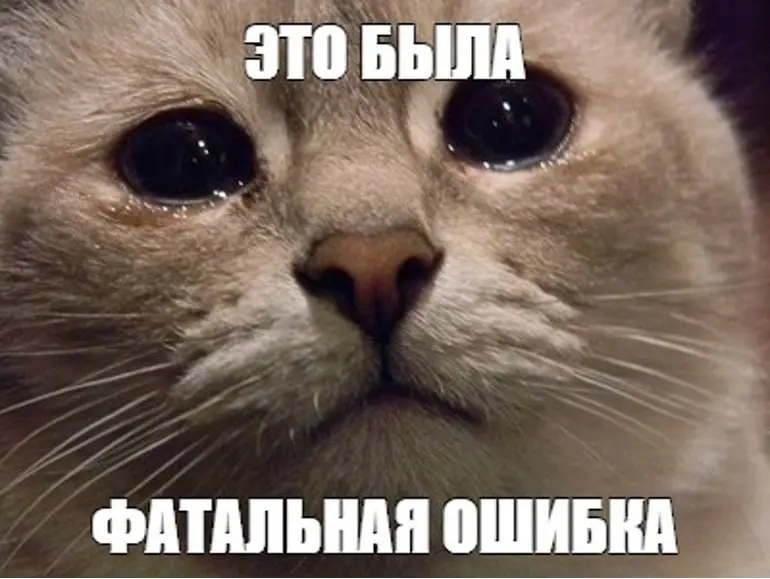 ⬆️Пост, после которого от меня отписываются пачками
Сегодня статистика подписчиков выглядит как график падения биткоина в плохой день 😅
Сижу и наблюдаю: отписки идут одна за одной | Сетка — социальная сеть от hh.ru