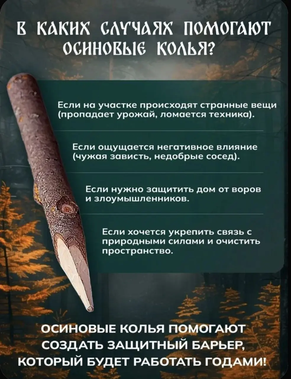 Не знаю, как работают рекомендательные алгоритмы маркетплейсов, но на днях они заботливо предложили мне купить... осиновые колья | Сетка — социальная сеть от hh.ru