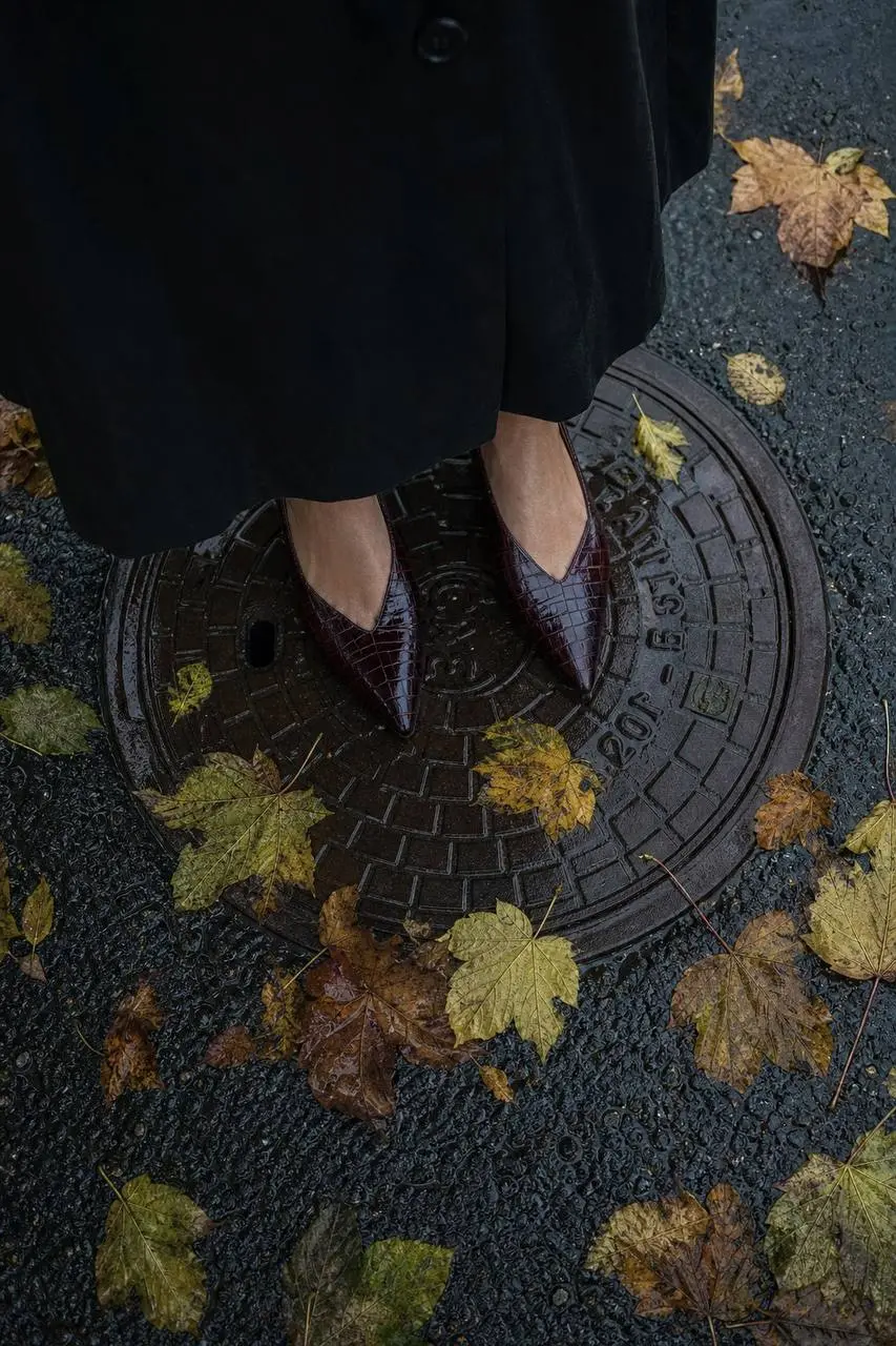 September mood 📸
Как сделать?
1). Заходим на сайт http://v2bot | Сетка — социальная сеть от hh.ru