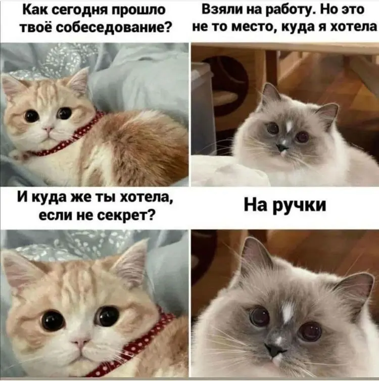 Итоги собеседования | Сетка — социальная сеть от hh.ru