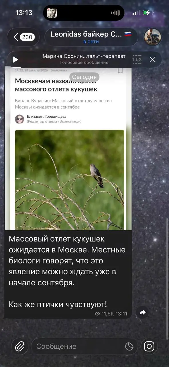 Остерегайтесь! Не знаю как на счет погоды, но массовый отлет кукушек осенью- опасное явление😁 | Сетка — социальная сеть от hh.ru