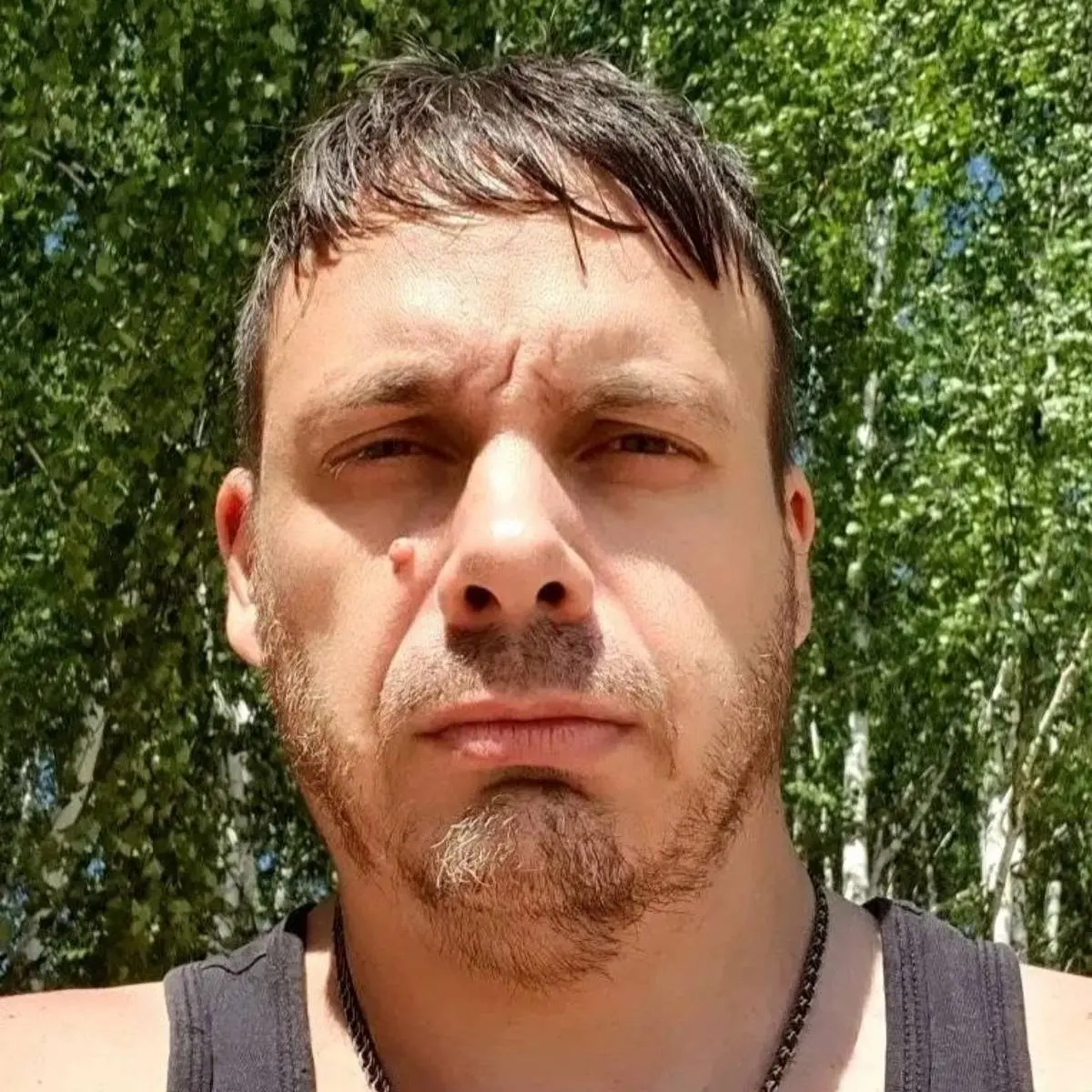 Дмитрий Перевышин