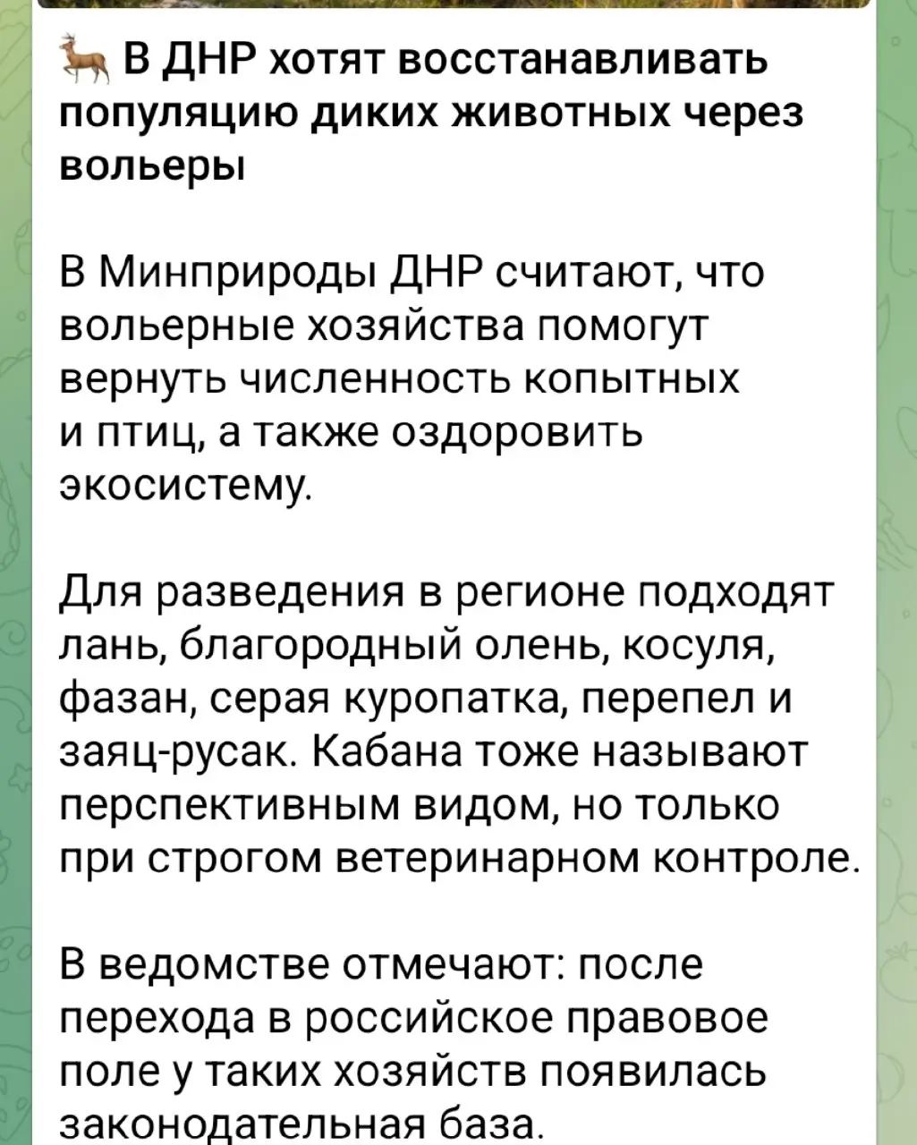 Страусов давайте выращивать....
На экспорт | Сетка — социальная сеть от hh.ru