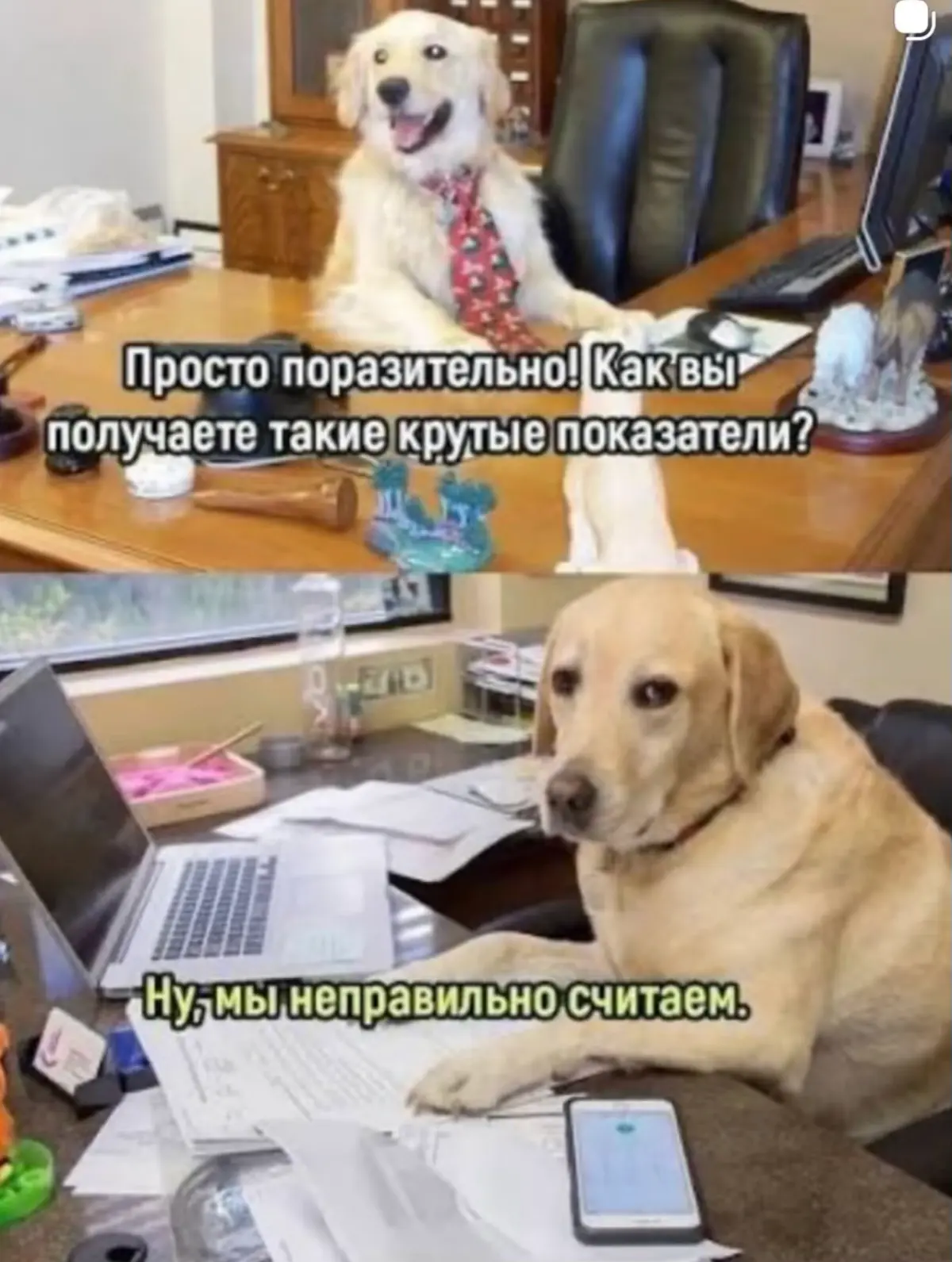 Актуалочка | Сетка — социальная сеть от hh.ru