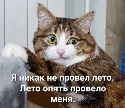 Ну что ж, коллеги, всех с последним днем лета! 🏹
Желаю, чтобы начало вашей рабочей недели было все еще по-летнему теплым и приятным🌞 | Сетка — социальная сеть от hh.ru