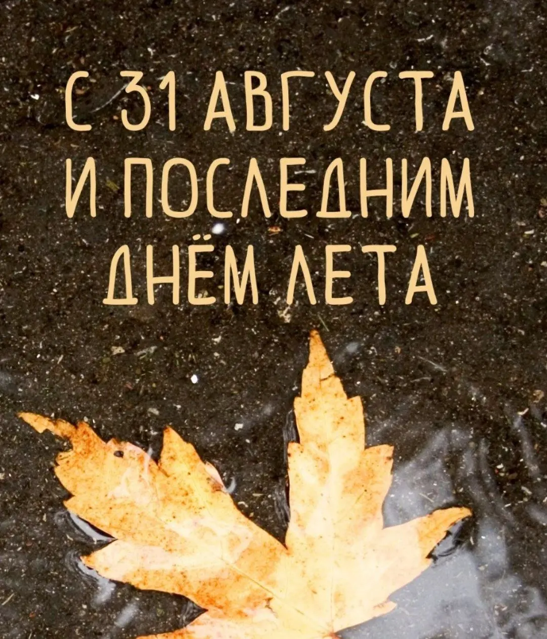 Не хочу чтоб лето заканчивалось 😢😭😢
Хочу жить в вечном лете
🌞💐🌷🌹🌺
Я даже в квартире круглый год поддерживаю
от +22°С до +27°С | Сетка — социальная сеть от hh.ru