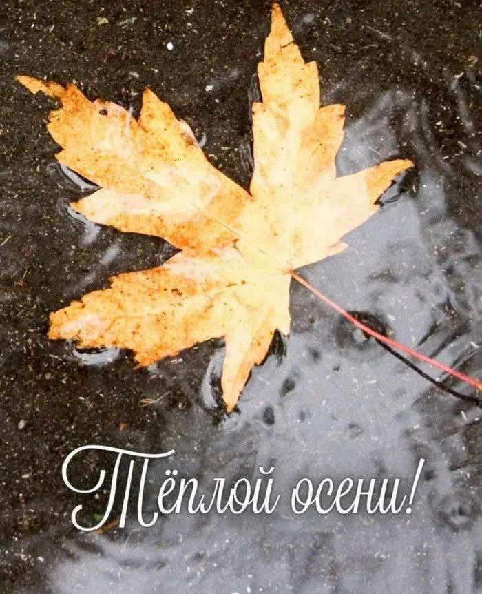 Не хочу чтоб лето заканчивалось 😢😭😢
Хочу жить в вечном лете
🌞💐🌷🌹🌺
Я даже в квартире круглый год поддерживаю
от +22°С до +27°С | Сетка — социальная сеть от hh.ru