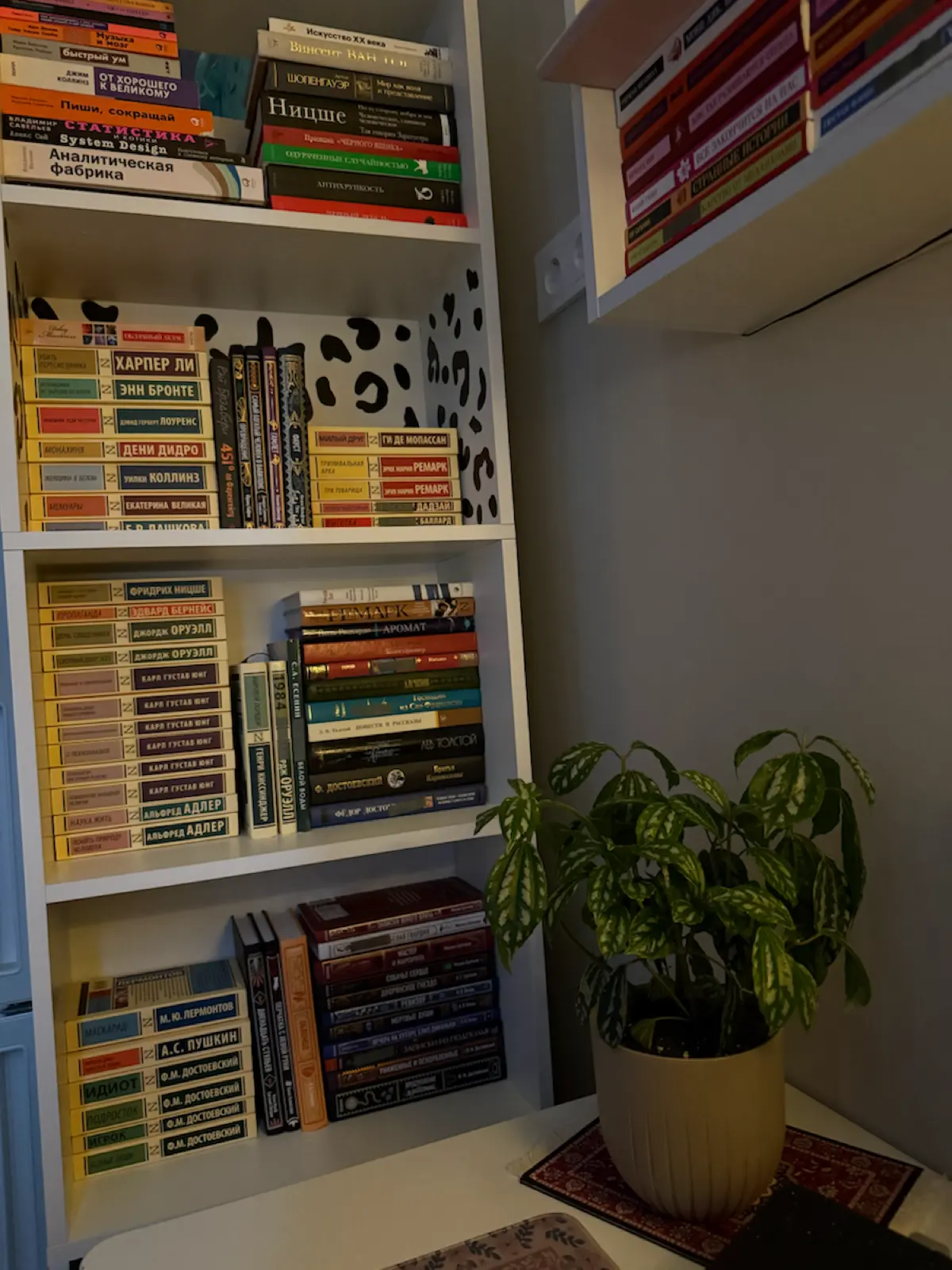Короче, я наконец-то собрала все свои книги | Сетка — социальная сеть от hh.ru