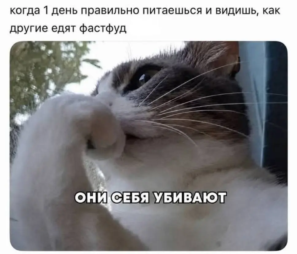 Пора начать с понедельника | Сетка — социальная сеть от hh.ru