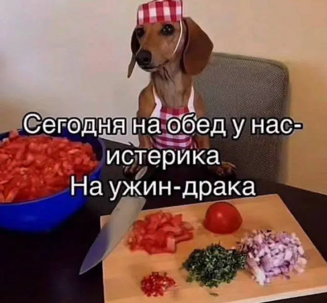 Если ты неделями ждешь обратную связь после собеса и тишина, это не значит что ты провалился | Сетка — социальная сеть от hh.ru