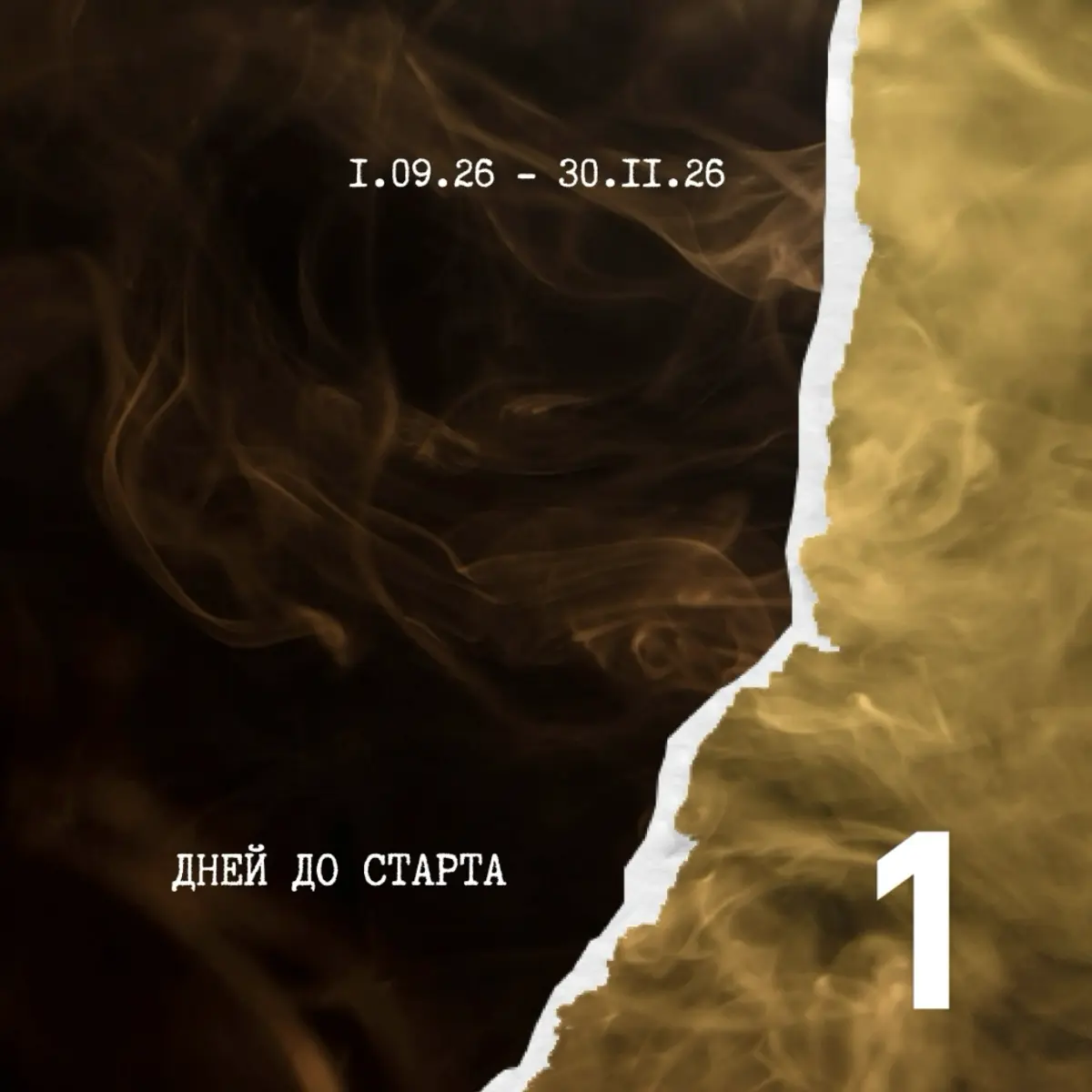 🦾📚 | Сетка — социальная сеть от hh.ru