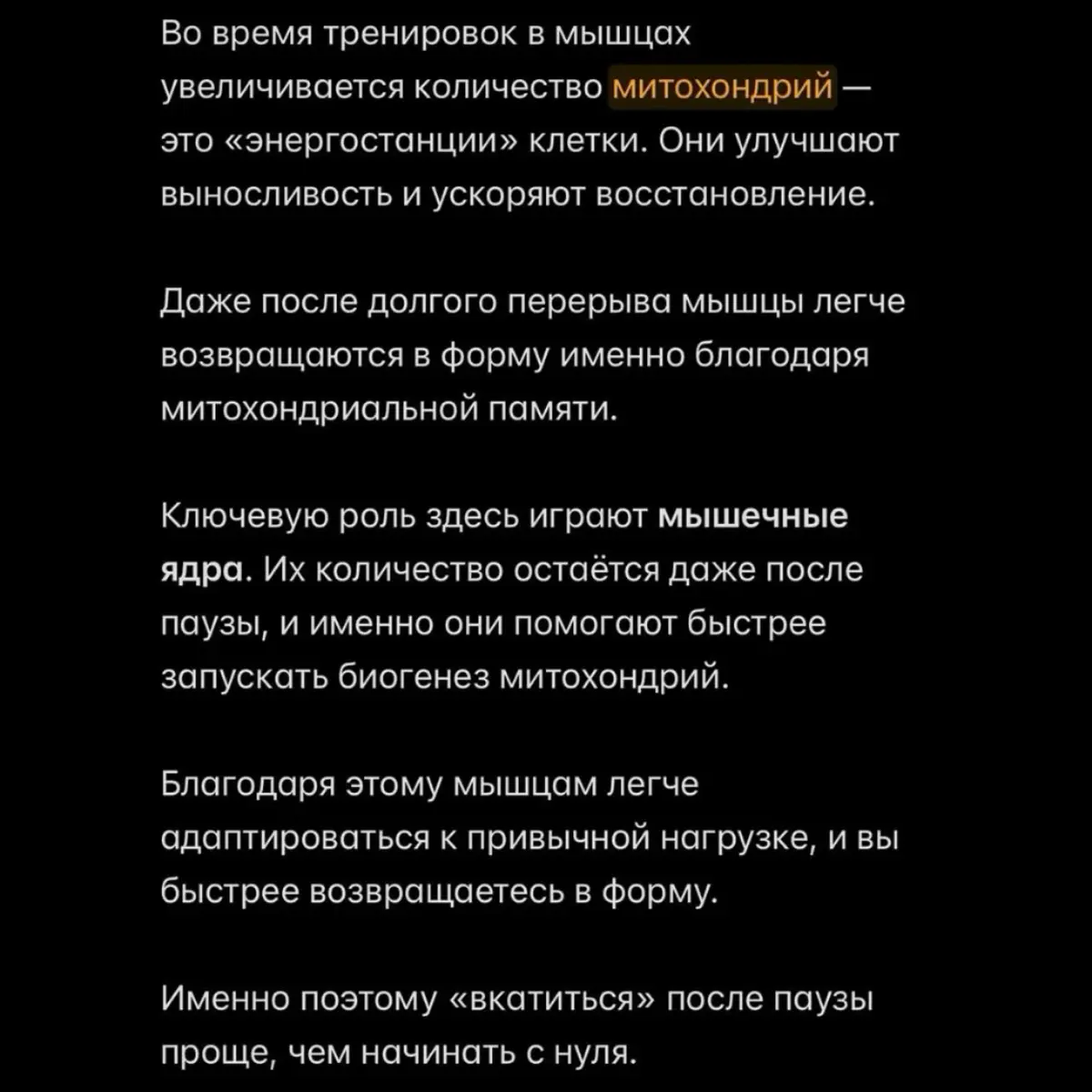 🦾📚 | Сетка — социальная сеть от hh.ru