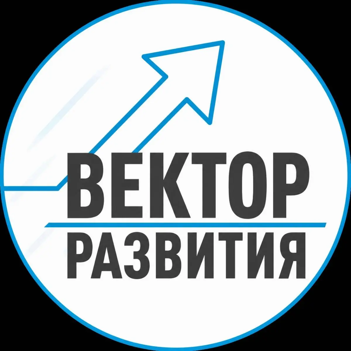 Вектор Развития | Роман Тертышный | Заметки менеджера