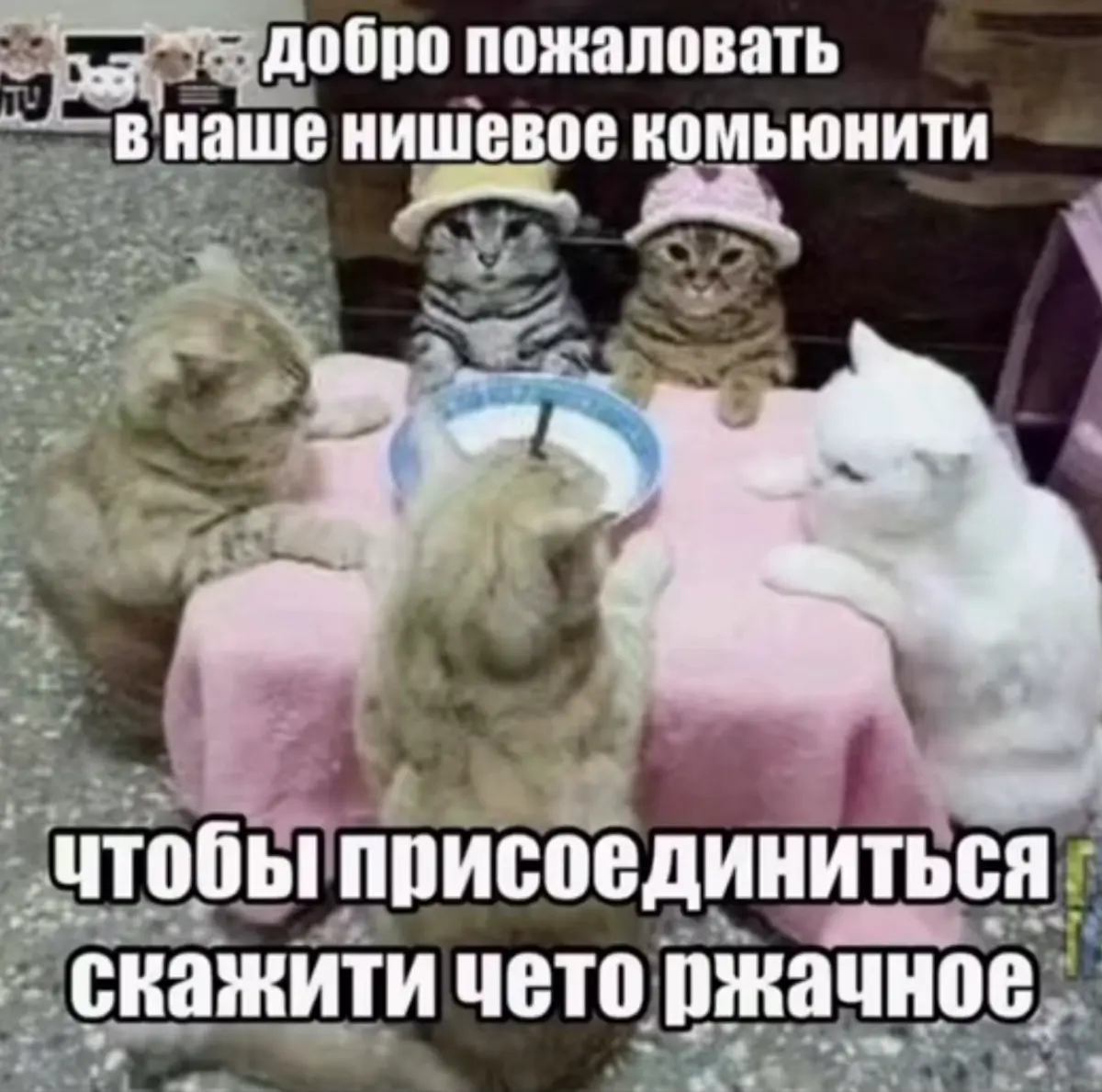 Менеджер по привлечению клиентов (В2В), найдись! | Сетка — социальная сеть от hh.ru