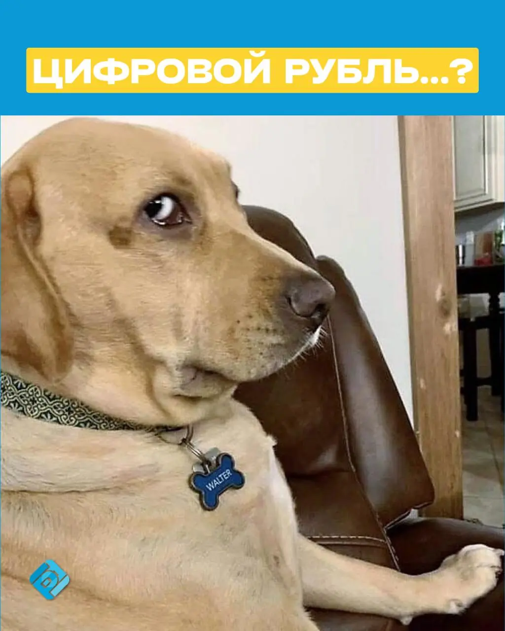 Как настроить выплату зарплаты в цифровых рублях в 1С:ЗУП
С 1 сентября 2026 года работодатели смогут перечислять зарплату сотрудникам в цифровых рублях | Сетка — социальная сеть от hh.ru