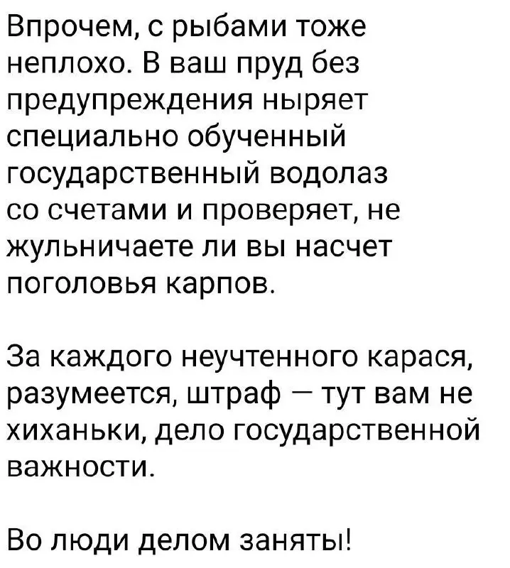 С 1 сентября в России вступают требования по обязательной маркировке кур и другой домашней птицы | Сетка — социальная сеть от hh.ru