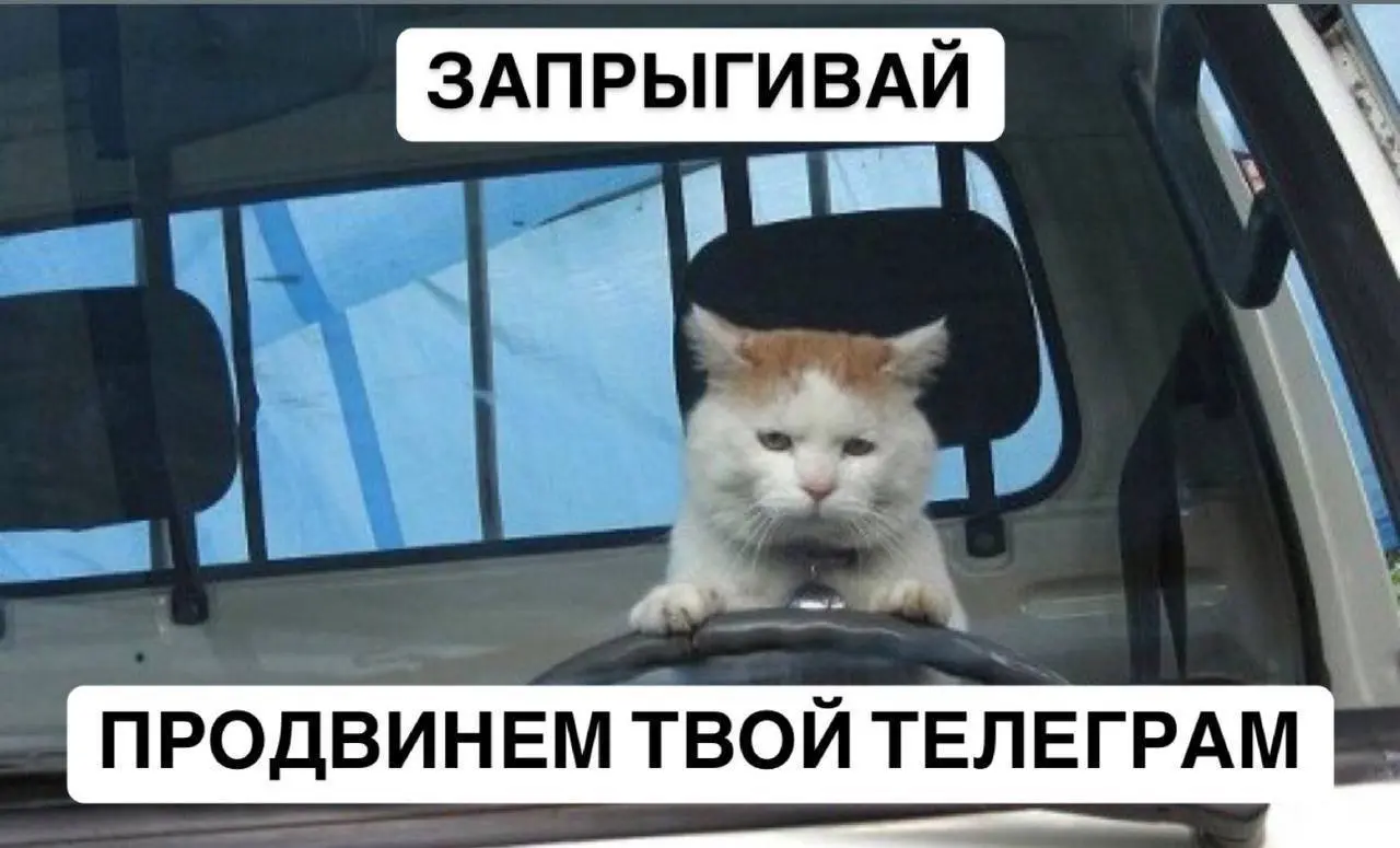 Ни на что не намекаю, но завтра 1 сентября
Осталось всего 12 часов, чтобы успеть занять место по промокоду в Практикуме по Pinterest
Еще хочу закрыть вопрос, который мне прилетел в личку:
У меня еще о... | Сетка — социальная сеть от hh.ru